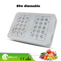 LED Grow Light with Promote The Plants Growth